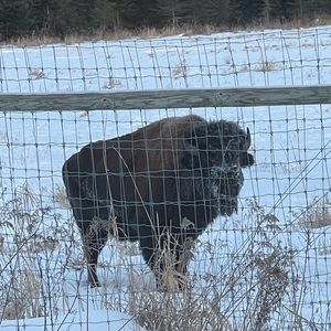 Meet your Posher, Sam